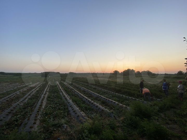 Участок 90 сот. (ИЖС)