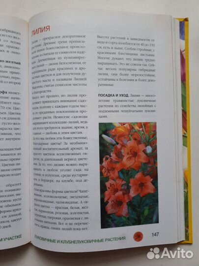 Книга Цветы на вашем участке