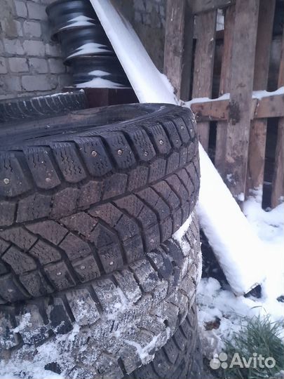 Nokian Tyres Hakkapeliitta 5 175/65 R14