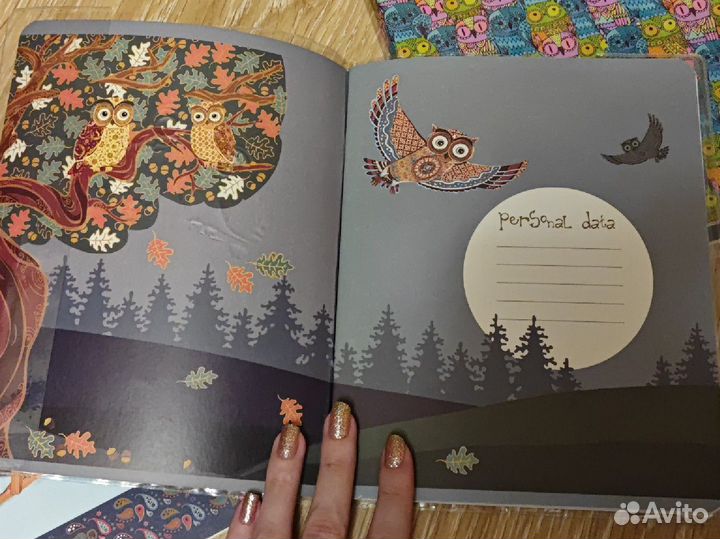 Новые тетради