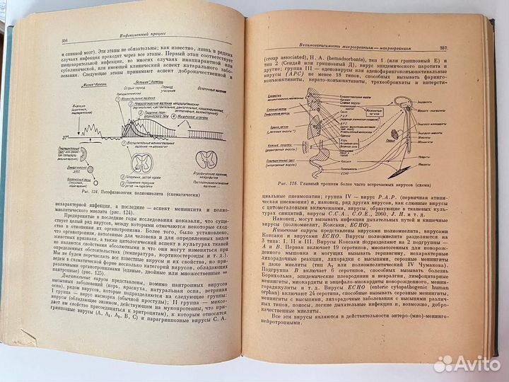 Введение в учение об инфекционных болезнях/Балш.Г