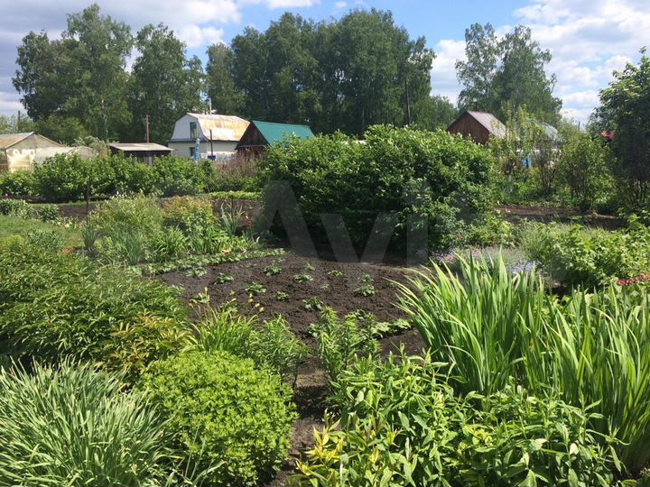 Участок 6 сот. (СНТ, ДНП)