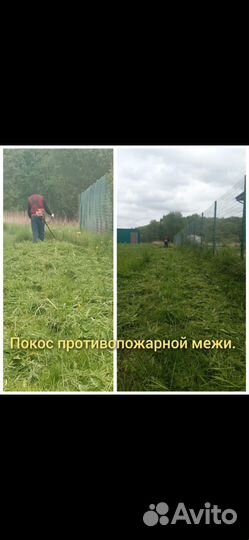 Покос травы триммером