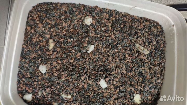 Аквариумный грунт