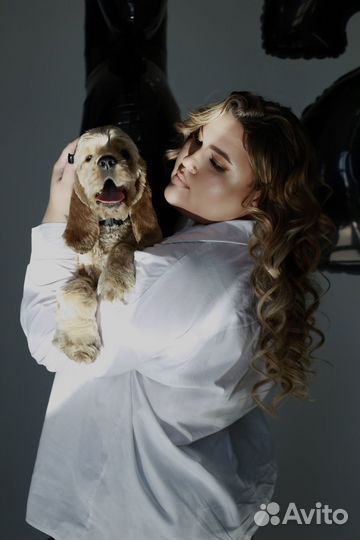 Передержка собак