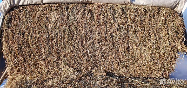 Козлятник (сено) в тюках