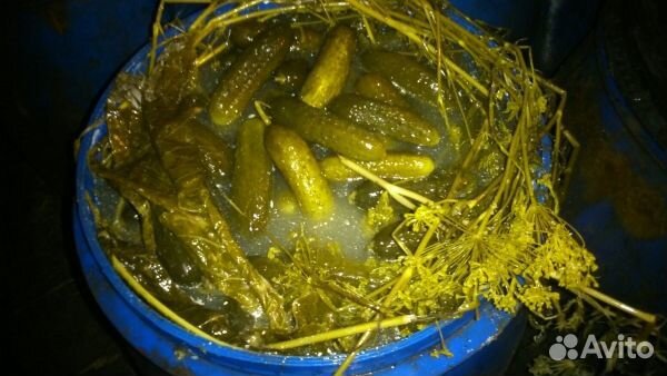 Огурцы соленые бочковые