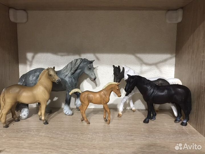 Лошади collecta