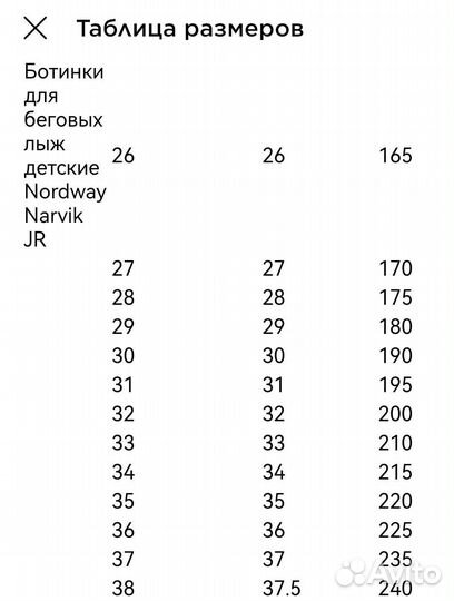 Лыжные ботинки