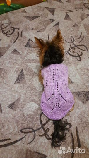 Свитер для собаки