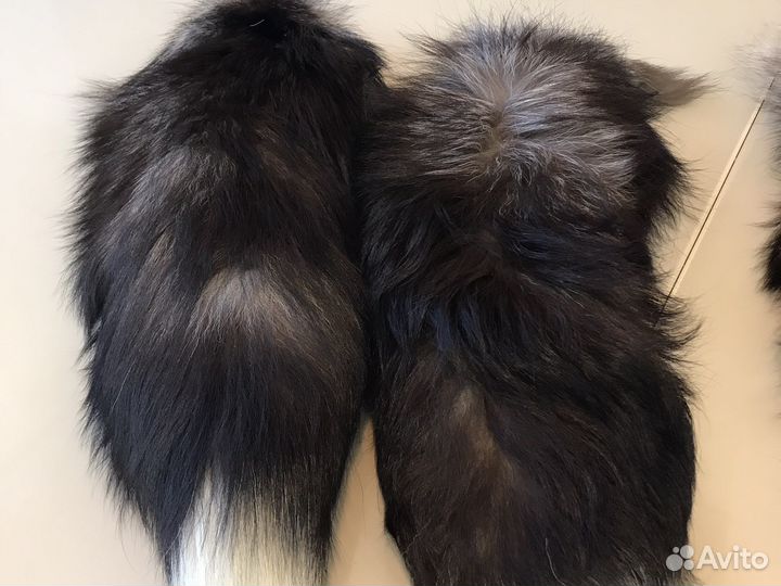 Лисий хвост чернобурка