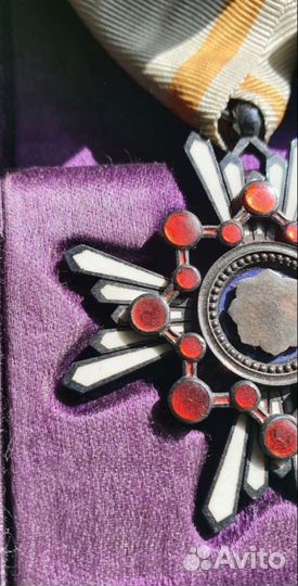 Орден Священного Сокровища, 5 степень, Япония