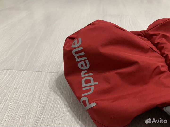 Одежда для маленьких собак