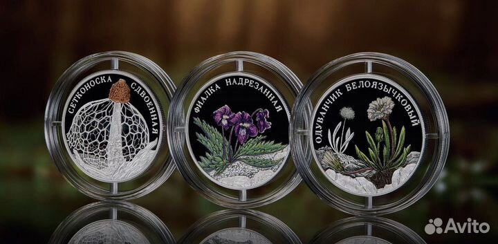 2 рубля 2022 красная книга