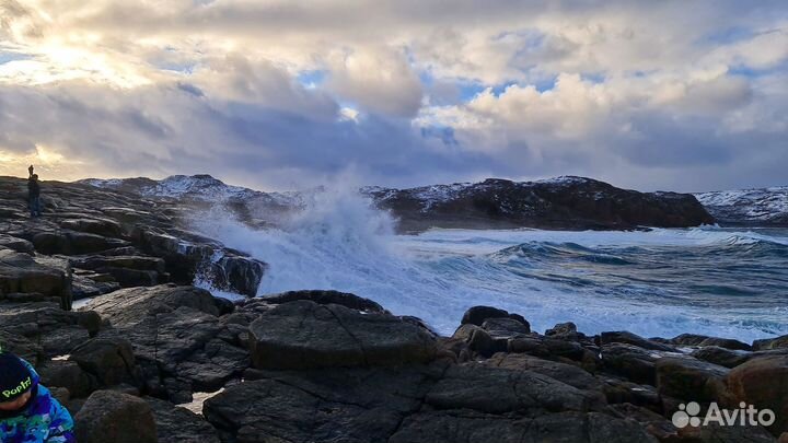 Выход в море и поиск китов