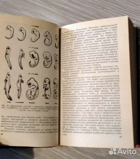 Биология для поступающих в вузы