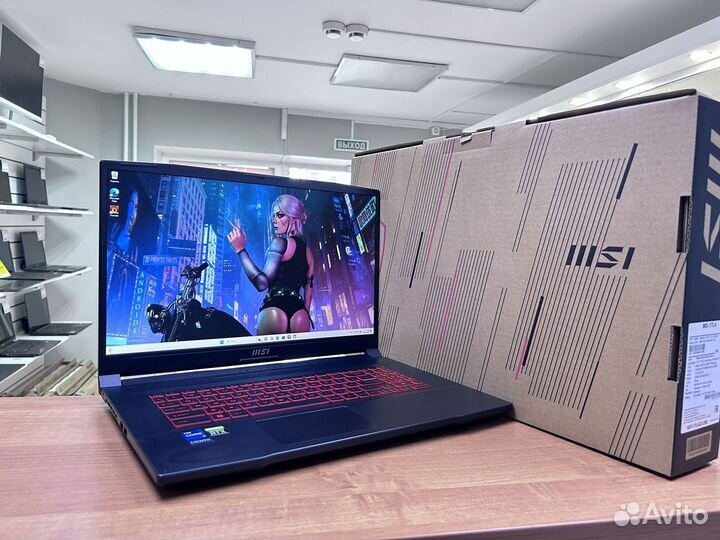 MSI 17.3