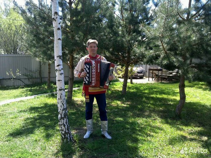 Профессиональный баянист