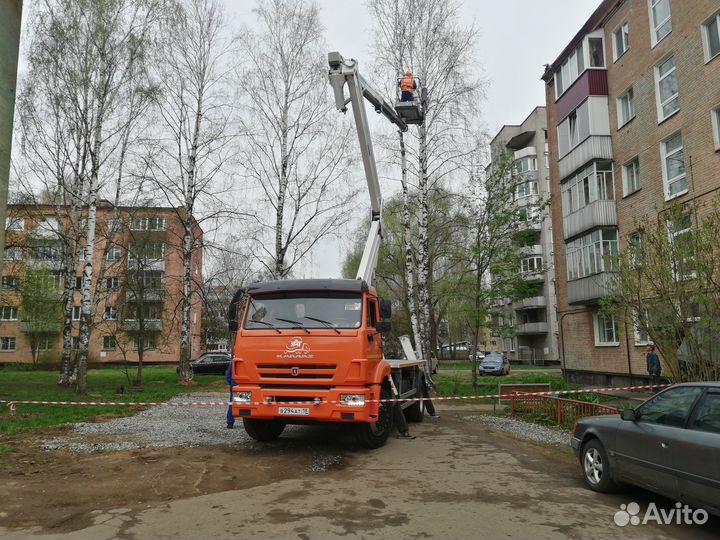 Обрезка кустов и деревьев