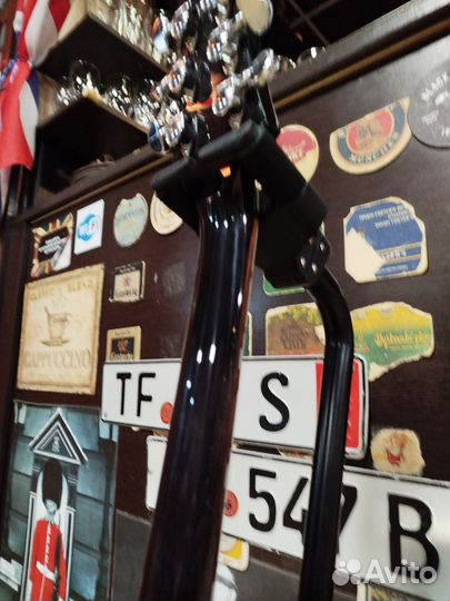 Гитара Daisy Rock Schecter