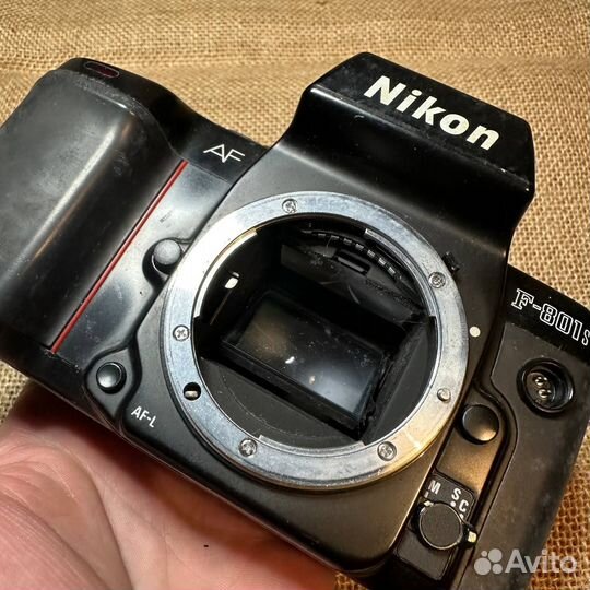 Nikon F-801s