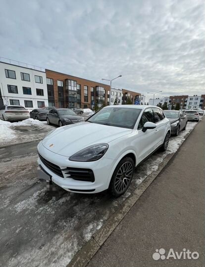 Porsche Cayenne 3.0 AT, 2020, 83 000 км