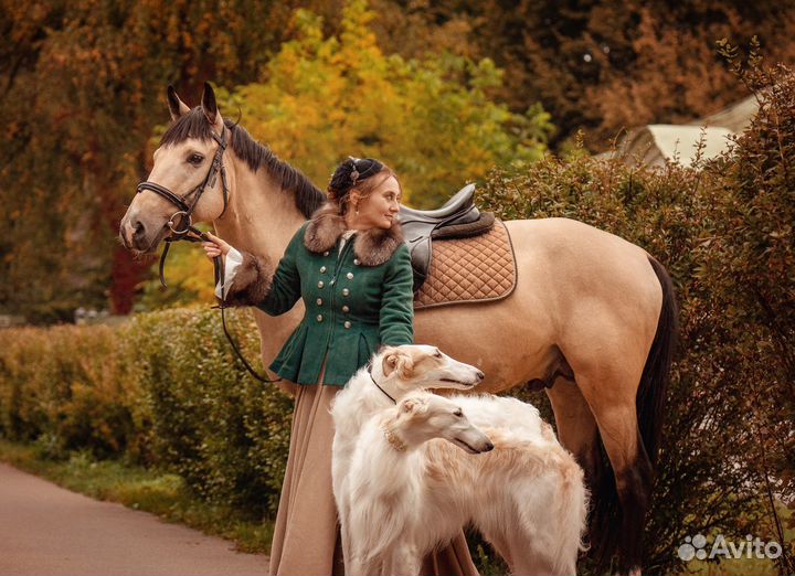 Фотосессии с собаками (русская псовая борзая)