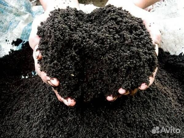 Биогумус (вермикомпост) от червей Дендробена