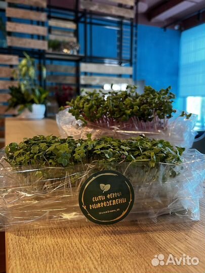 Микрозелень