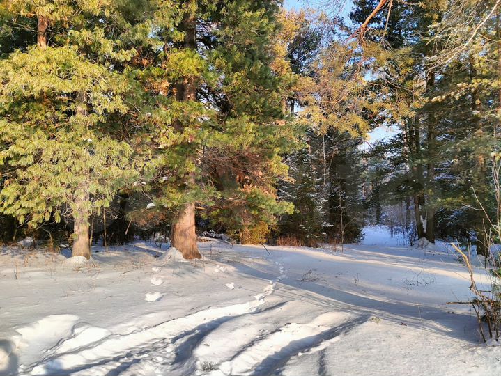 Участок 40 сот. (ИЖС)