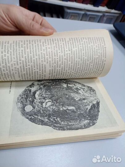 Книга Янтарь 1984