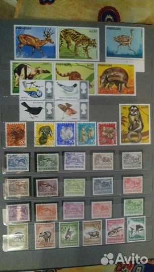 Марки Фауна Зарубежные 1913-1972г
