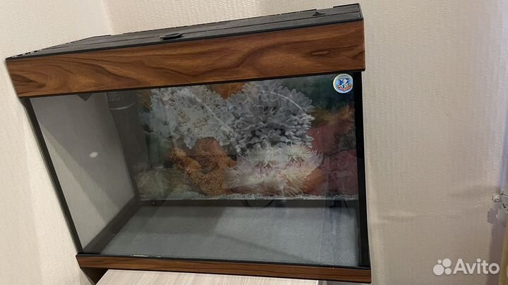 Аквариум для рыбок