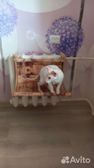 Спальное место для домашних животных