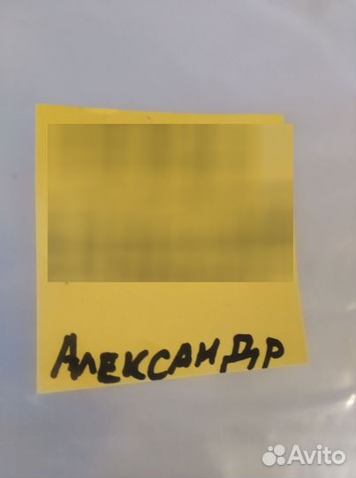 Тюльпаны срез