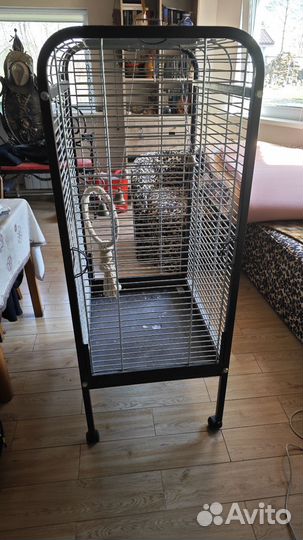 Клетка для большого попугая