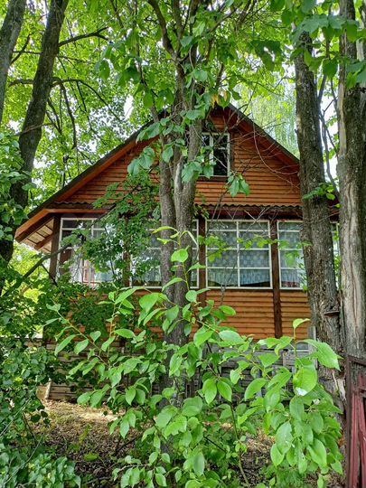 Дача 60 м² на участке 19,8 сот.