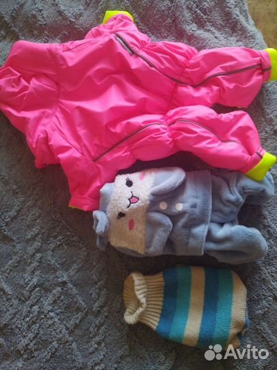 Одежда для маленьких собак