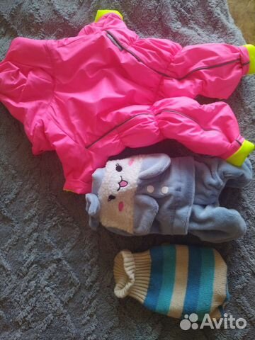 Одежда для маленьких собак