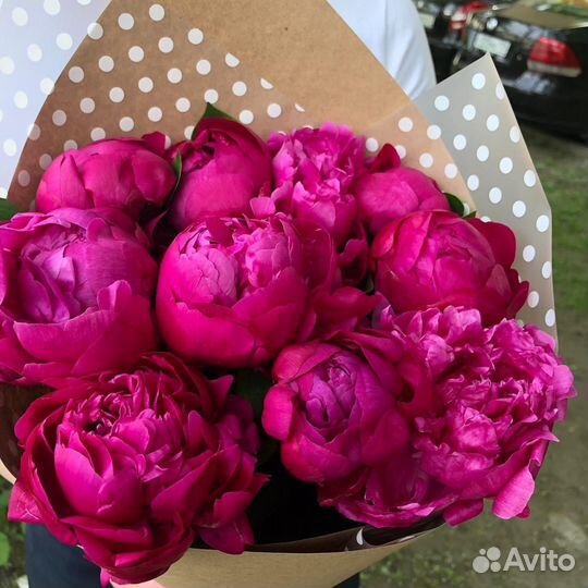 Букет свежих пионов