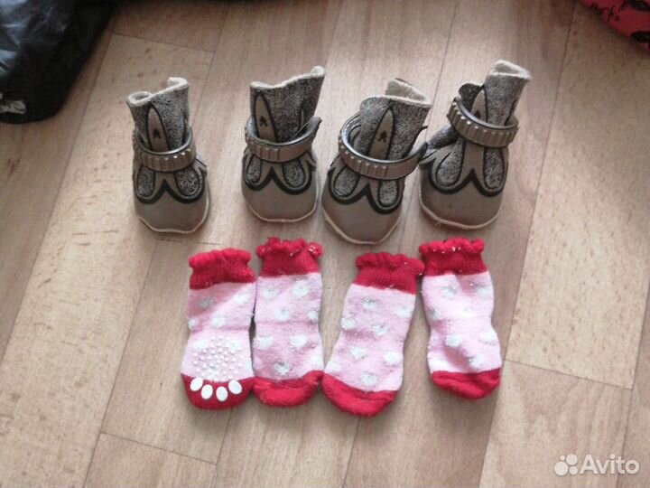 Одежда для маленьких собак