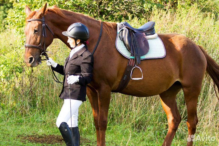 Конная прогулка