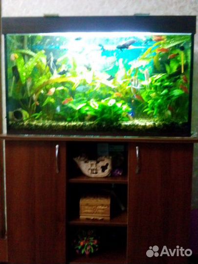 Аквариум