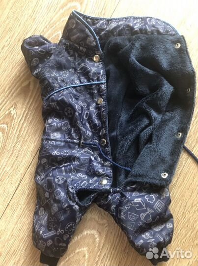 Одежда для собак