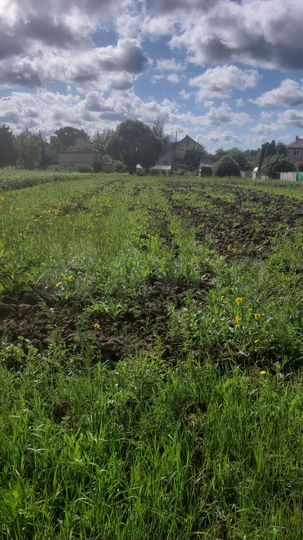 Участок 20 сот. (ИЖС)