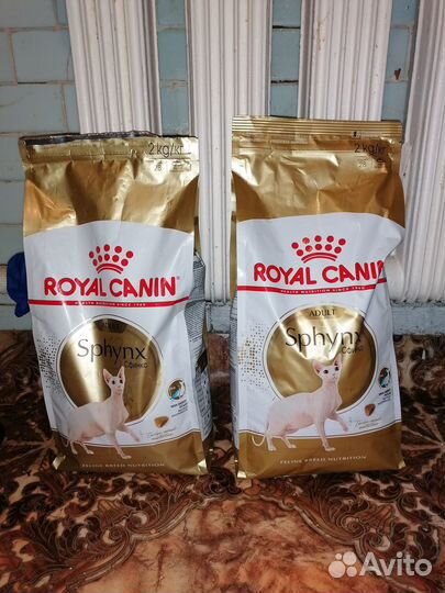 Корм для сфинксов