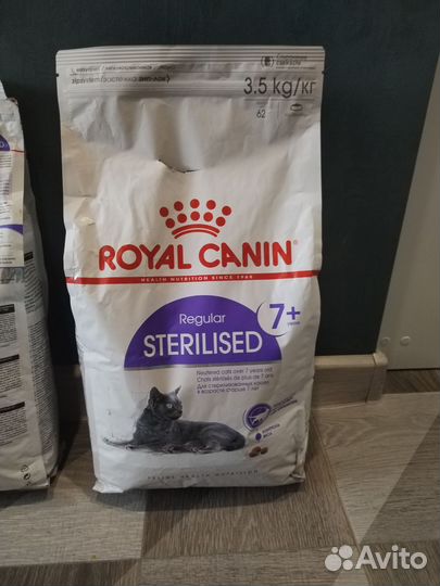 Корм для кошек