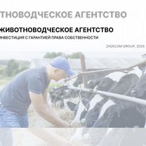 Животноводческое агентство в городе, Гарчак