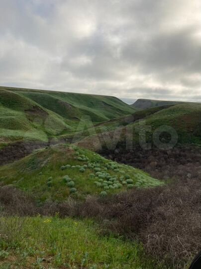 Участок 12 га (СНТ, ДНП)