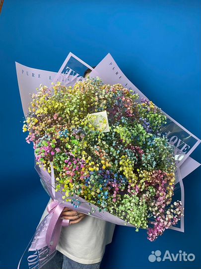 Яркая гипсофила